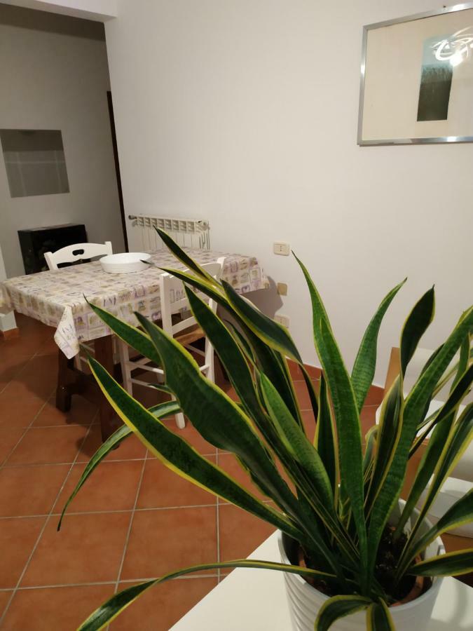 Gemini Appartamenti Grosseto Exteriör bild