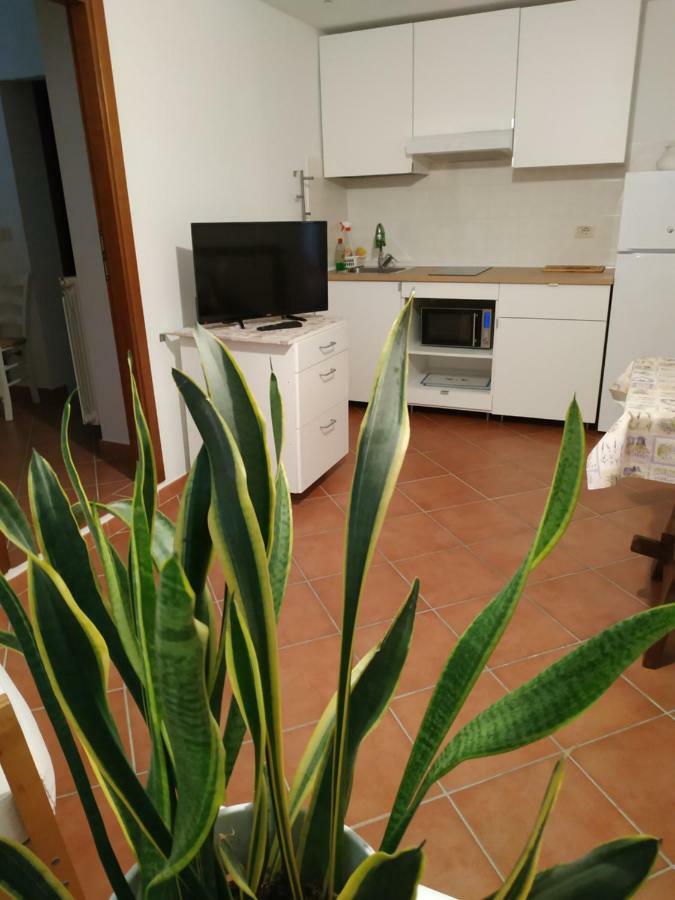 Gemini Appartamenti Grosseto Exteriör bild